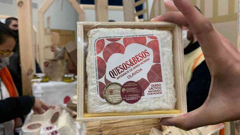 Four tastiest cheeses in the world voted by an academy of cheesemakers